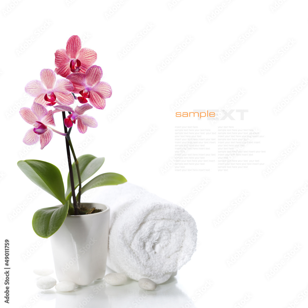 spa composition with beautiful pink orchid