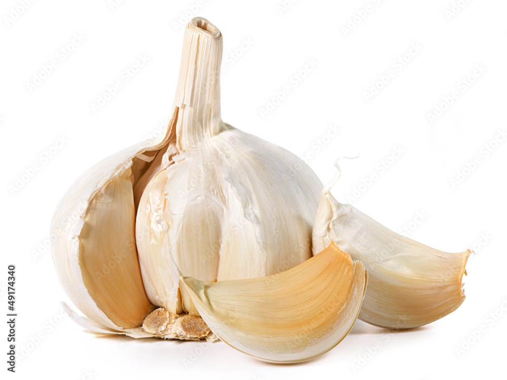 garlic isolated on white background