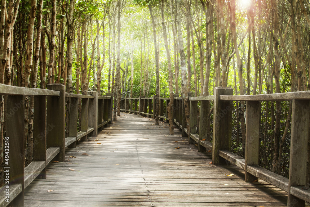 wood bridge