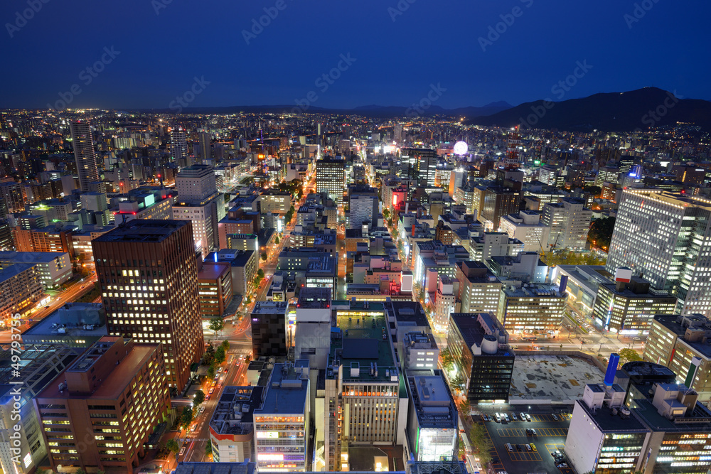 Downtown Sapporo Cityscape