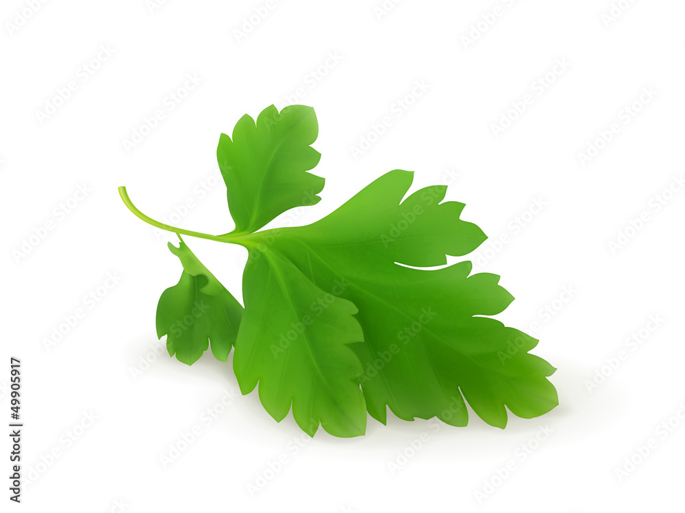 Parsley