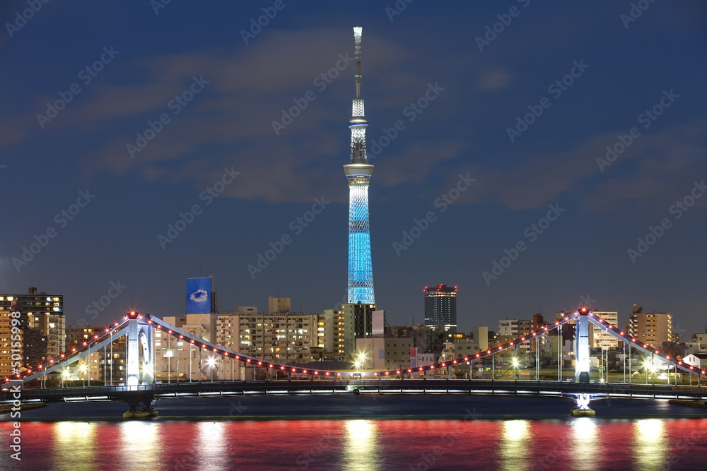 View of Tokyo Sky Tree