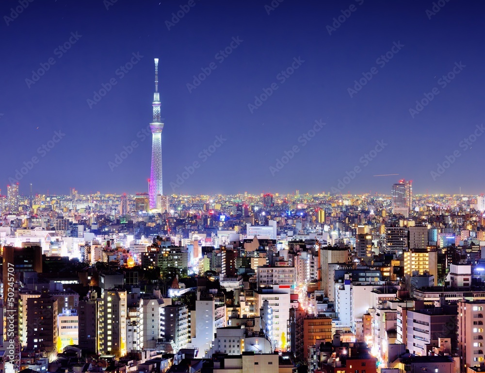 Tokyo at Night