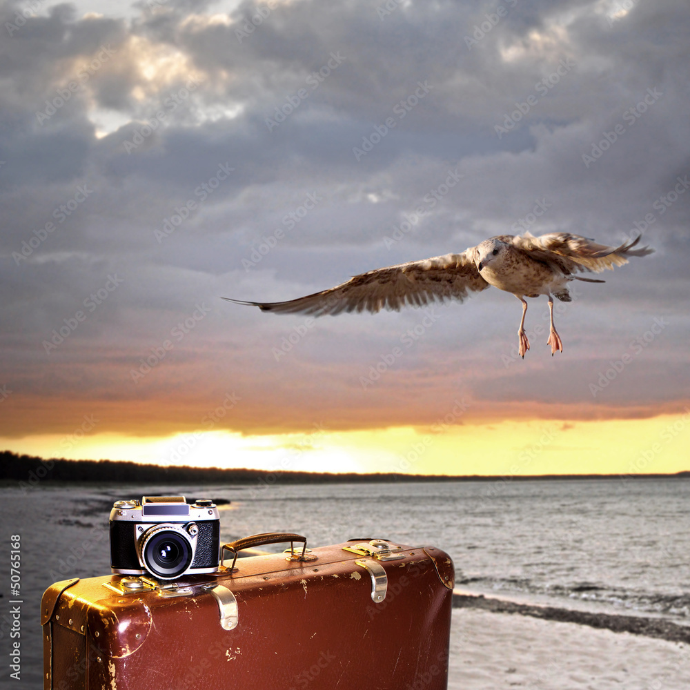 Koffer和Fotoapparat的Sonnenntergang am Meer