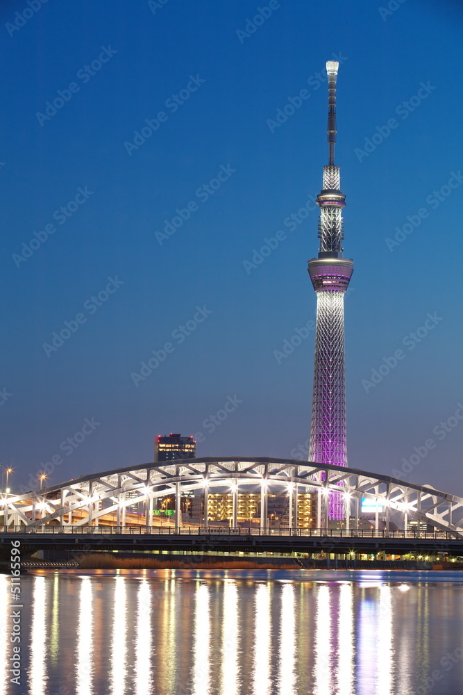 View of Tokyo Sky Tree