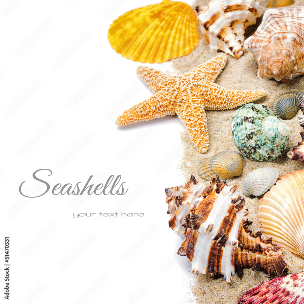 Colorful seashells on sand