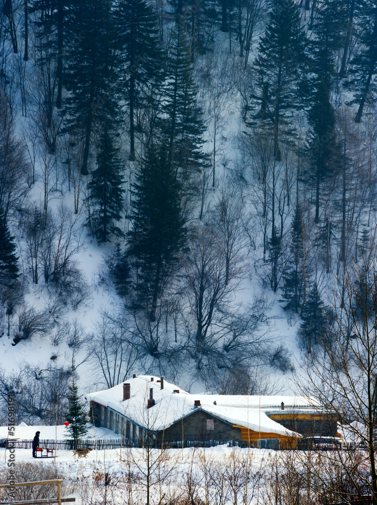 中国特色农家雪景