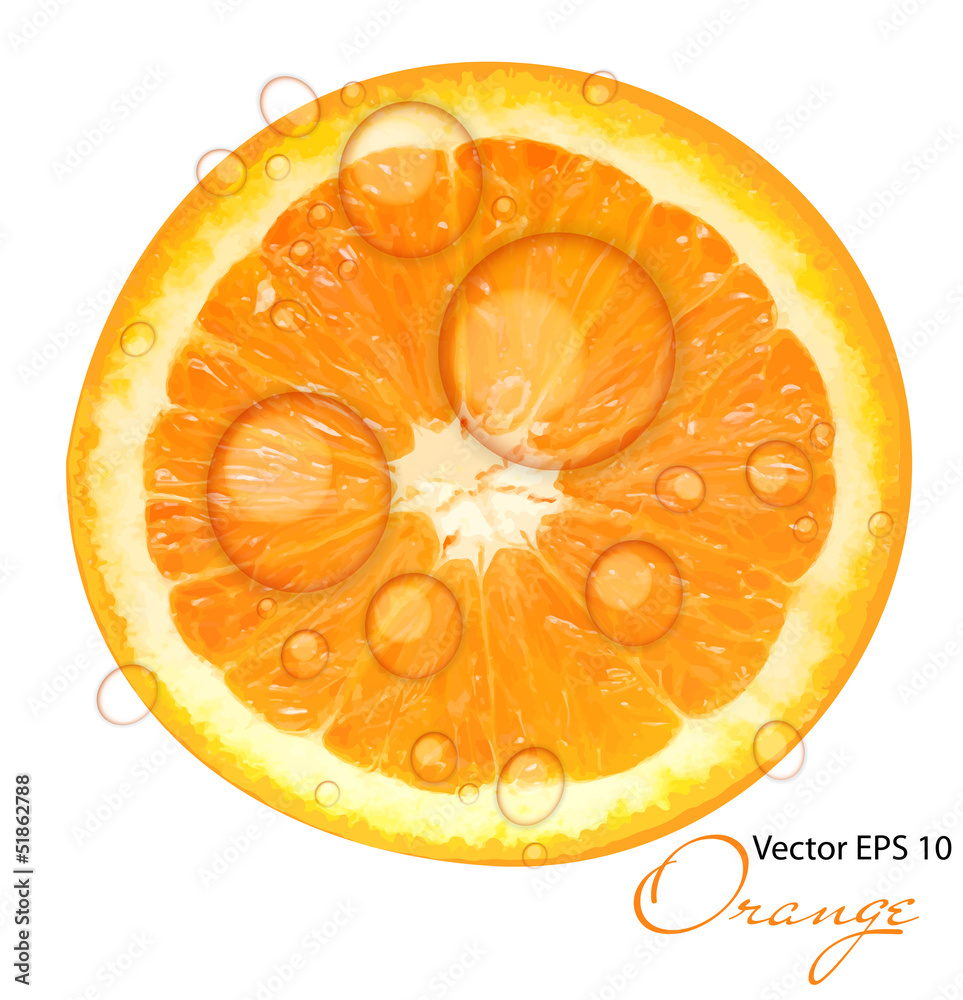 Fresh juicy orange background vector illustration