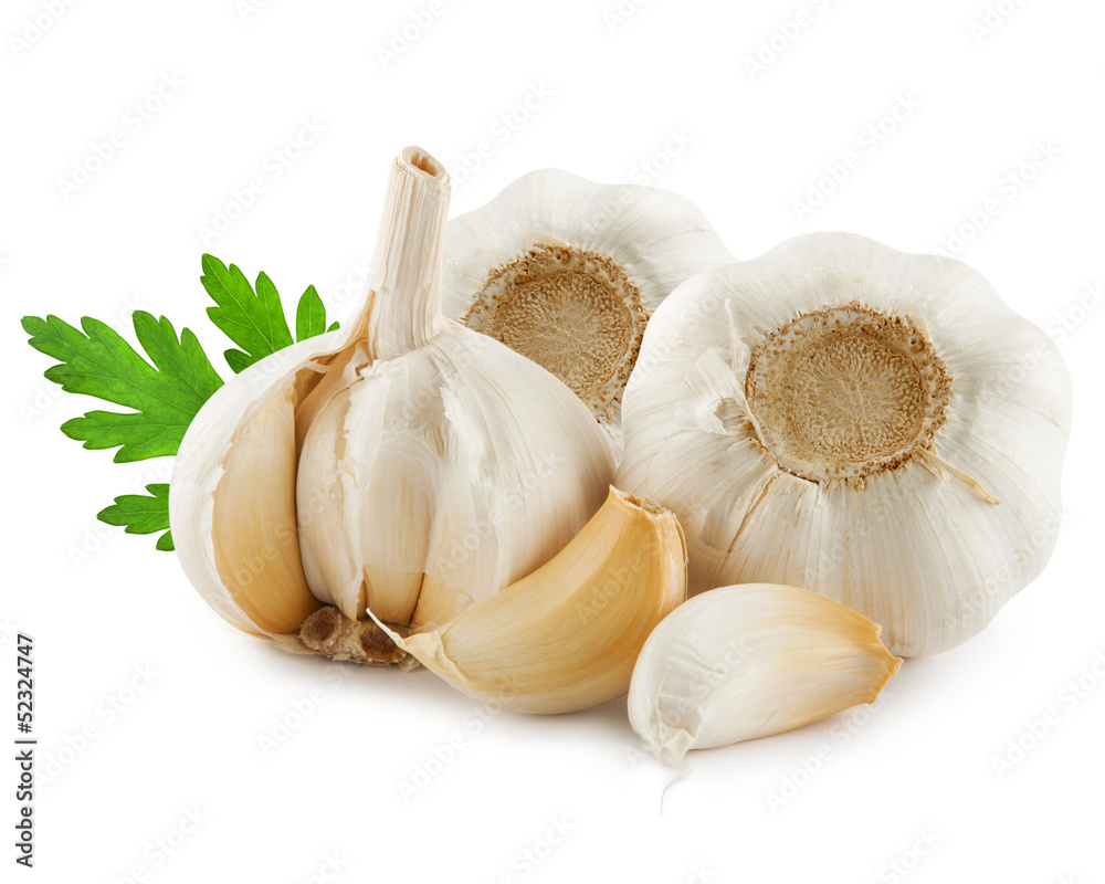 Garlic