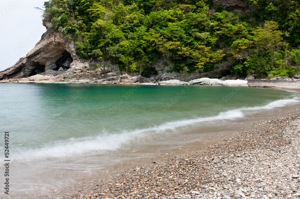 新緑と砂浜