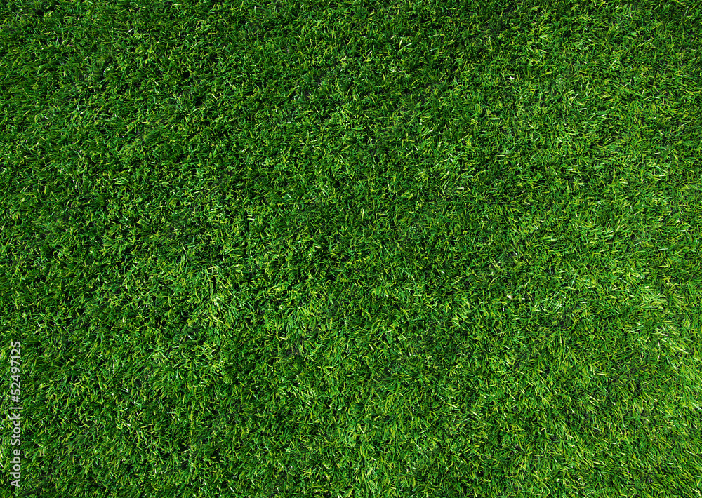 Texture green lawn