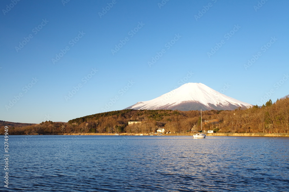 春天的富士山