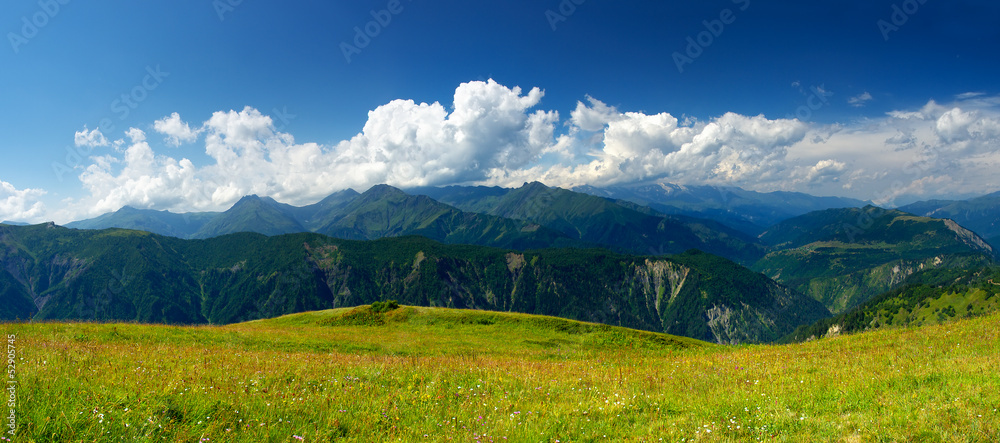 山谷中的绿色草地。美丽的风景