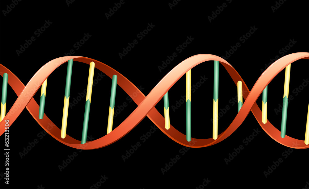 DNA