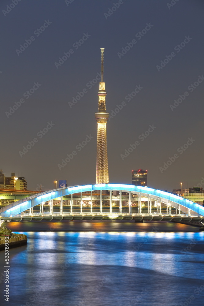 View of Tokyo Sky Tree