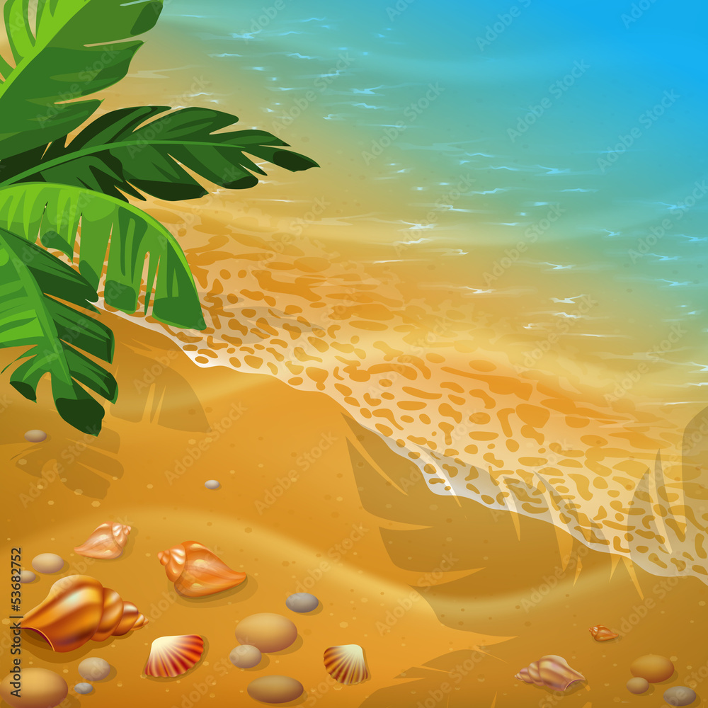 shells on the beach. Vector illustration.