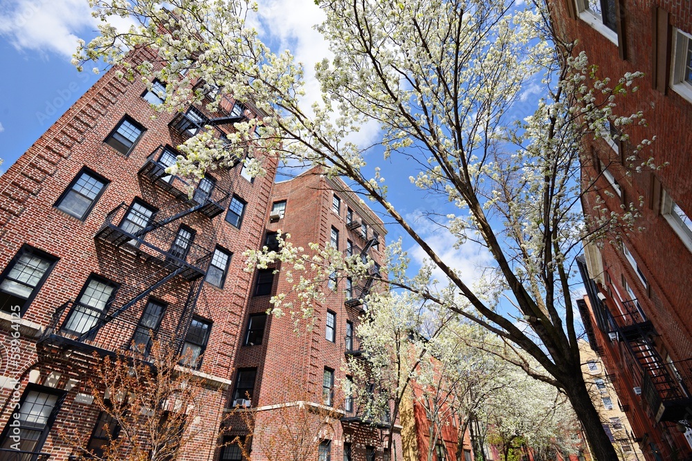 New York Apartments in the Spring