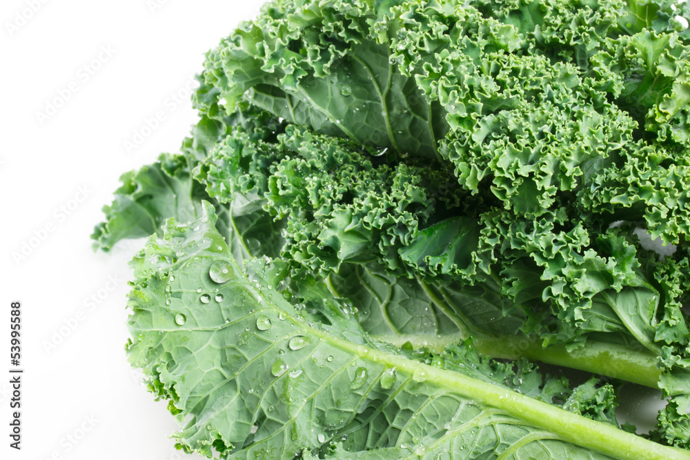 Fresh kale on white background