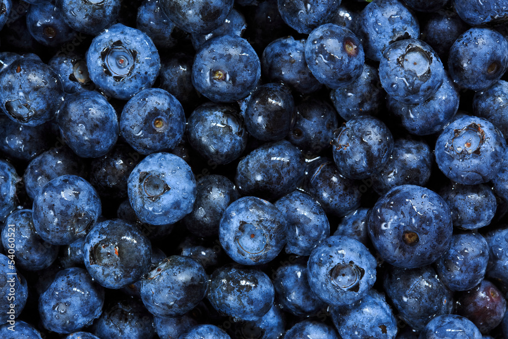 blueberries background