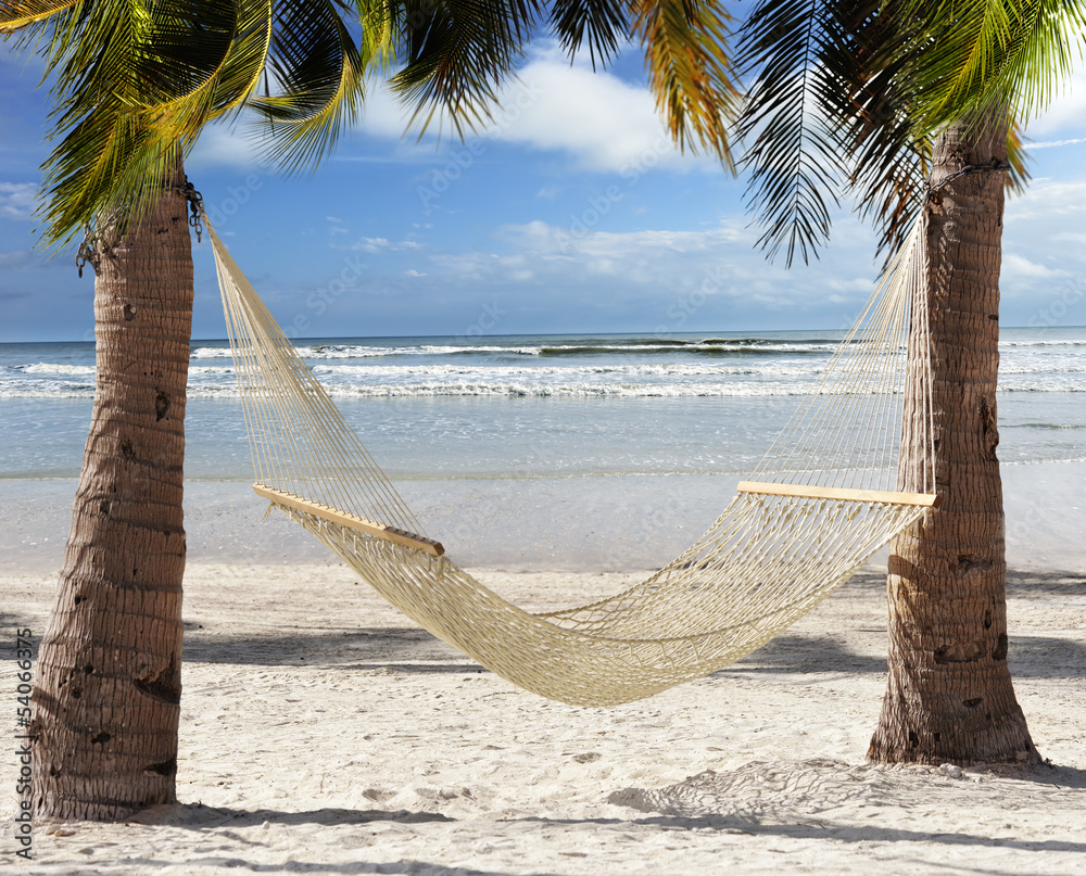 Hammock  In The Tropical Beach