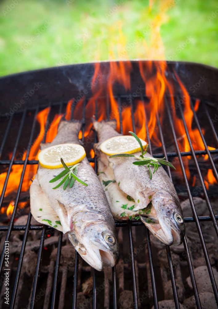 Grilled trouts