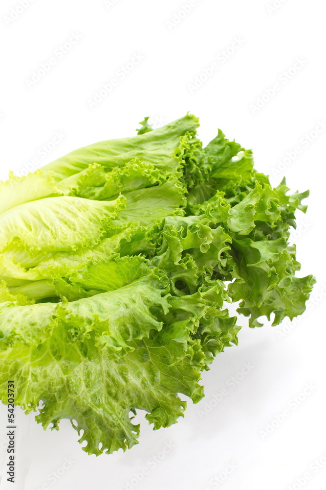 Fresh green lettuce isolated on a white