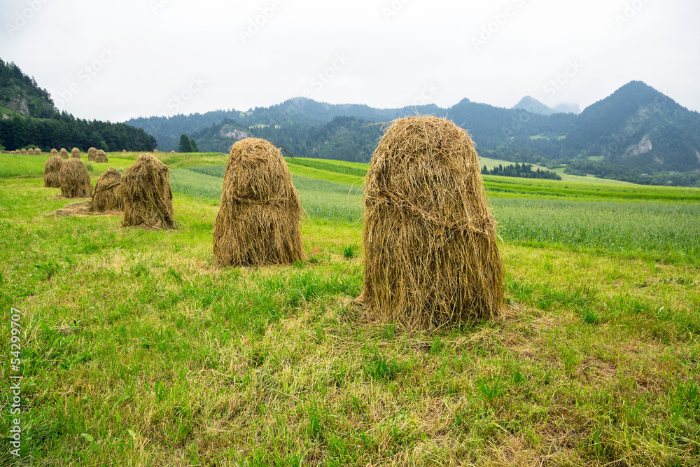 Haystacks on the field in Zakopane, Poland