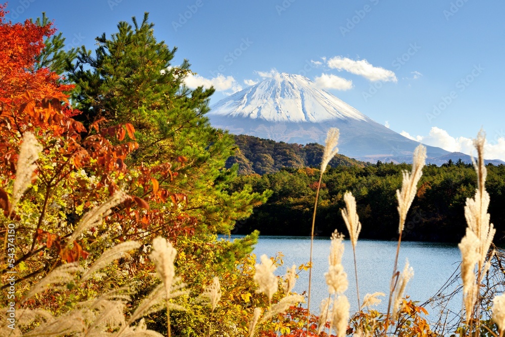 秋天的富士山