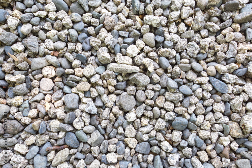 Zen stone path in a Japanese Garden