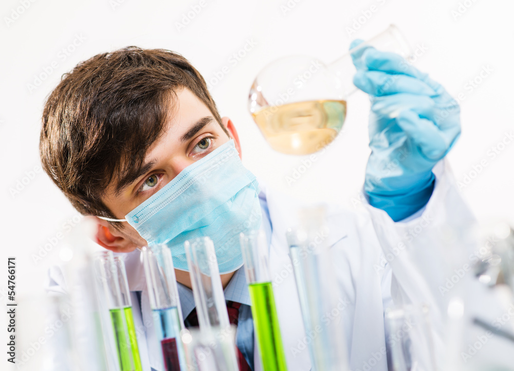 scientist working in the lab