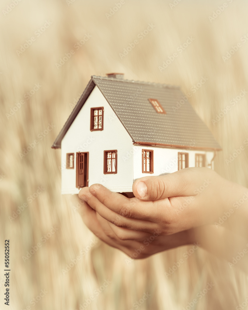 House in children`s hands