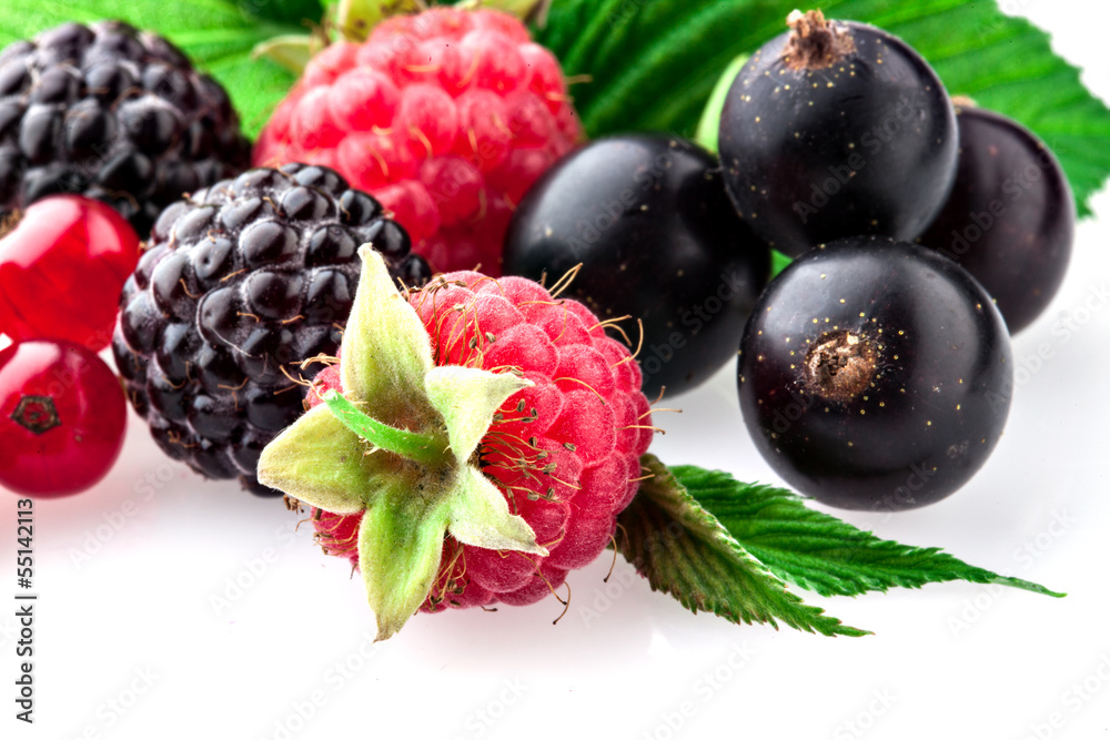 Wild berries with leaves. Macro