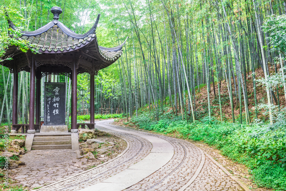 pathway in the park