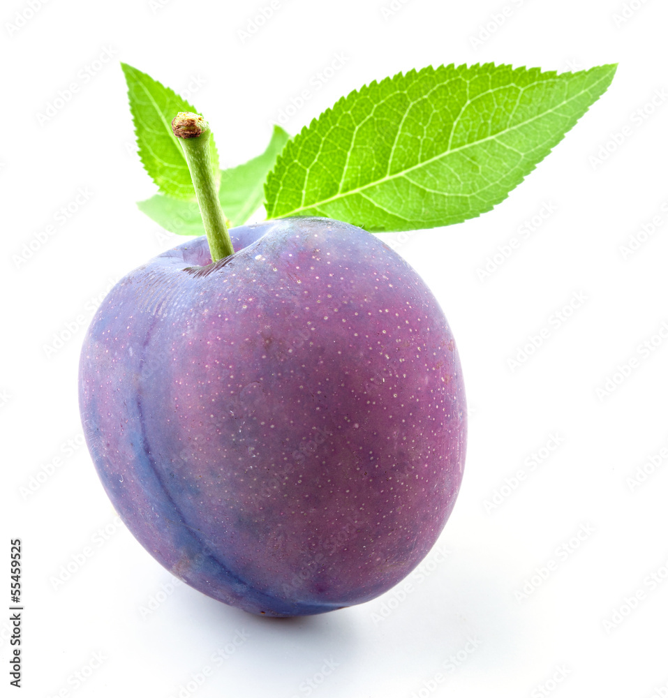 Plum