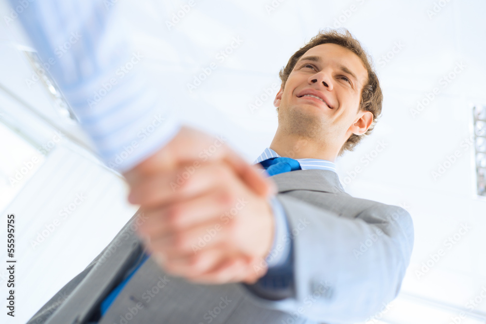 businessman shaking hands with a colleague