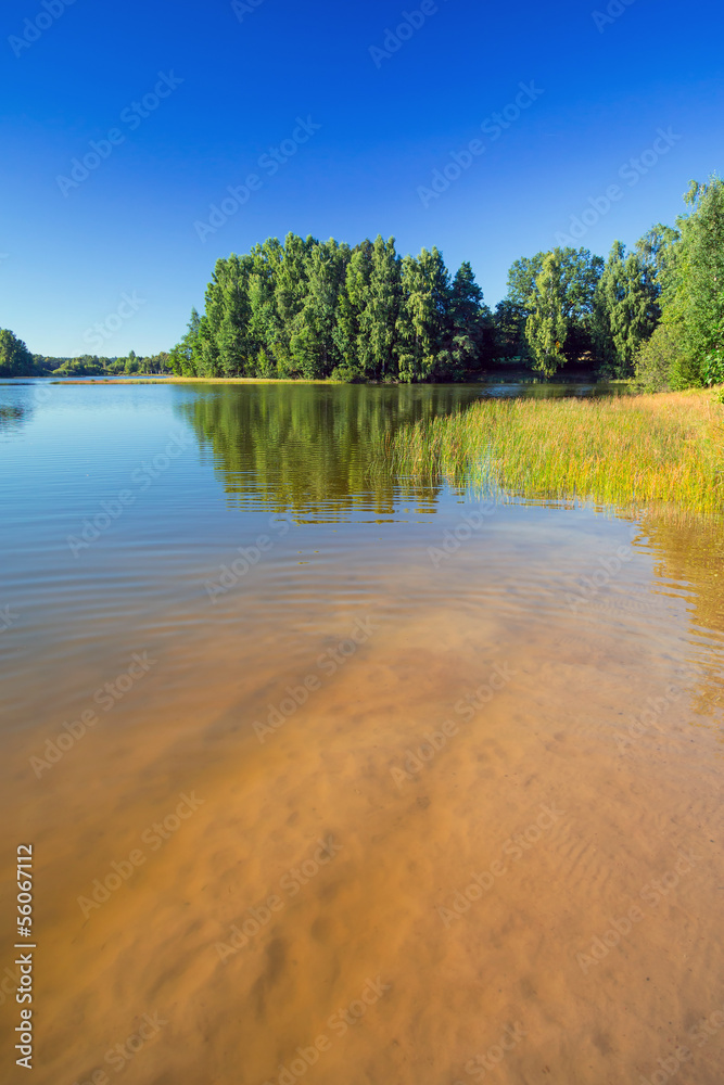 波兰湖畔的夏日风景