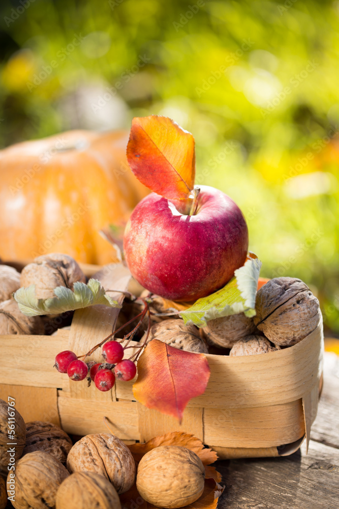 Fruits and vegetables in autumn