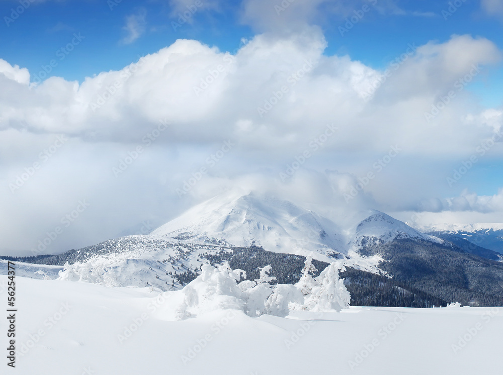 冬天的山脉和森林。美丽的风景