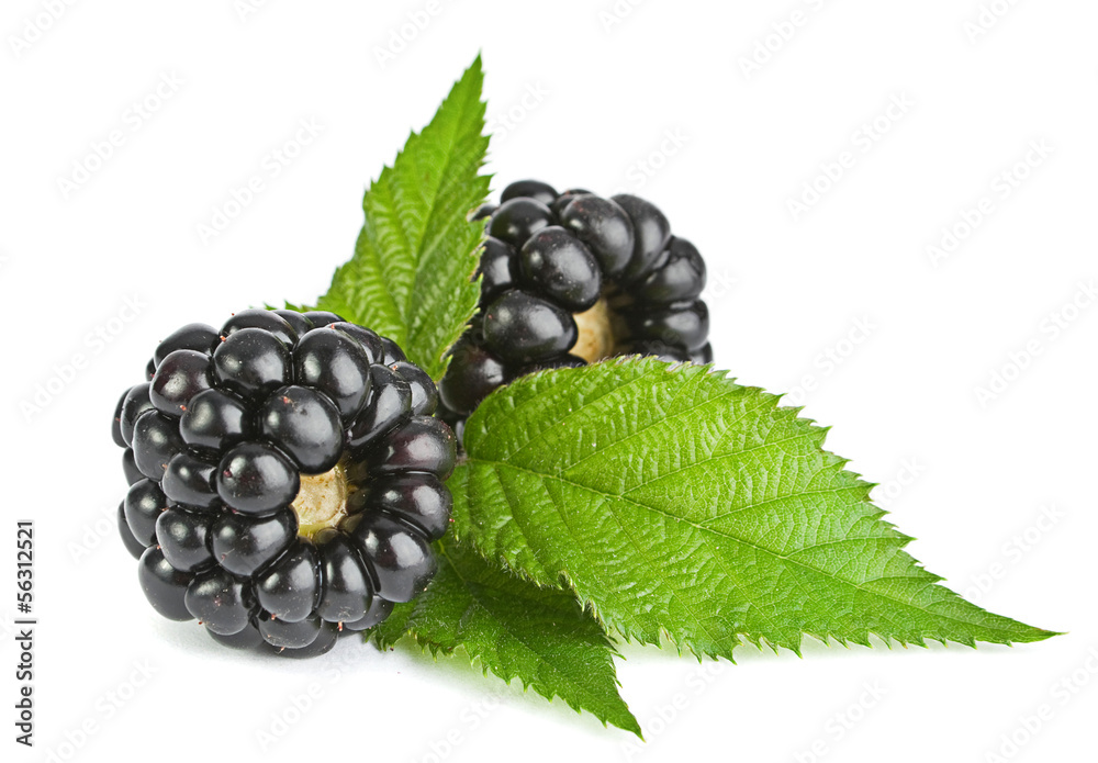 Blackberry fruit