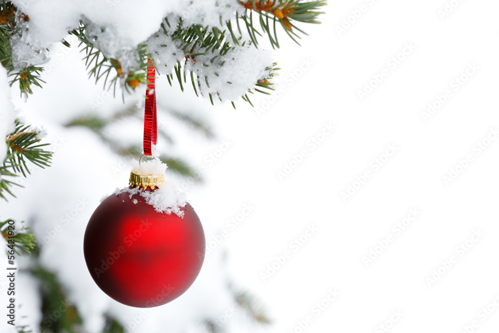 christmas tree branch with snow and ornament