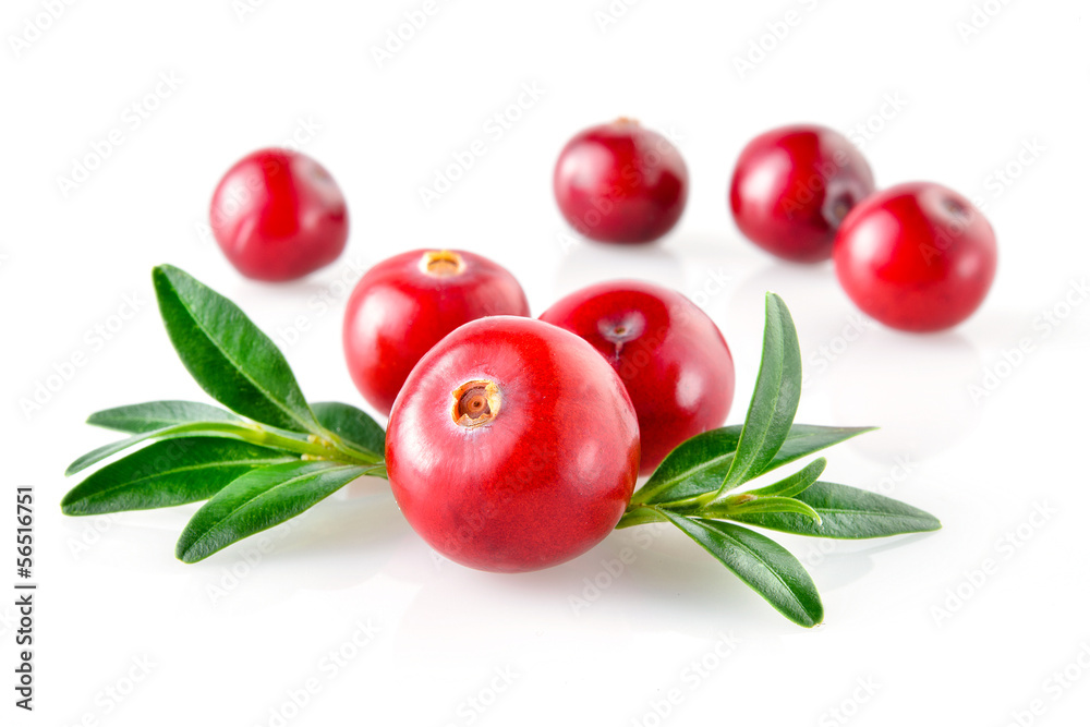 Cranberry with leaves in close up（特写中的蔓越莓和叶子）