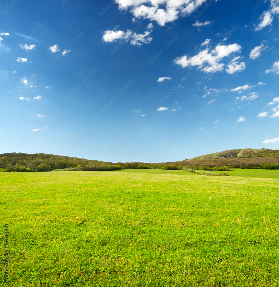 Field and sky