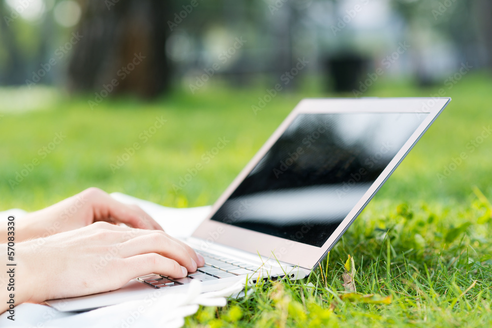 young man working in the park with a laptop