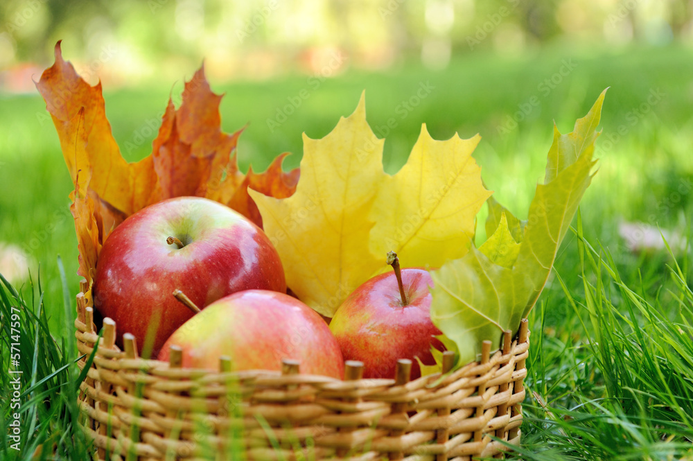 Apples in basket