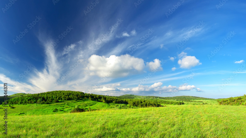 夏日风景