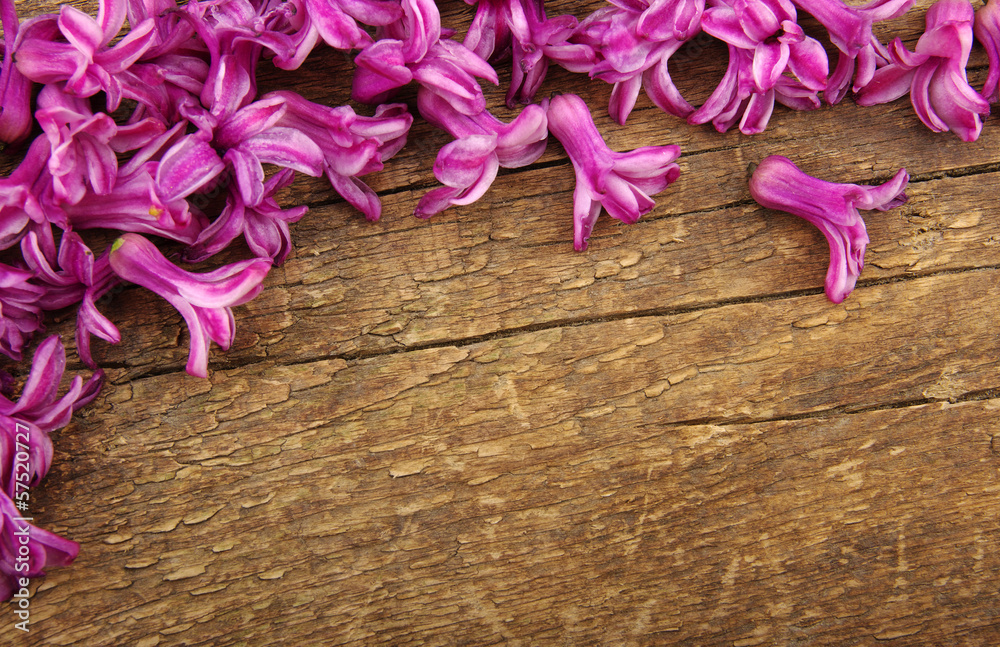 flower on wood