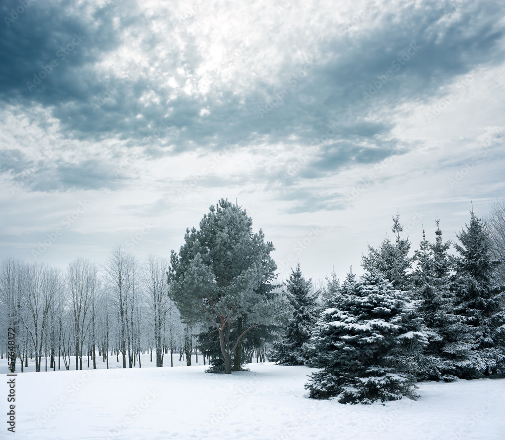 冬季雪景公园