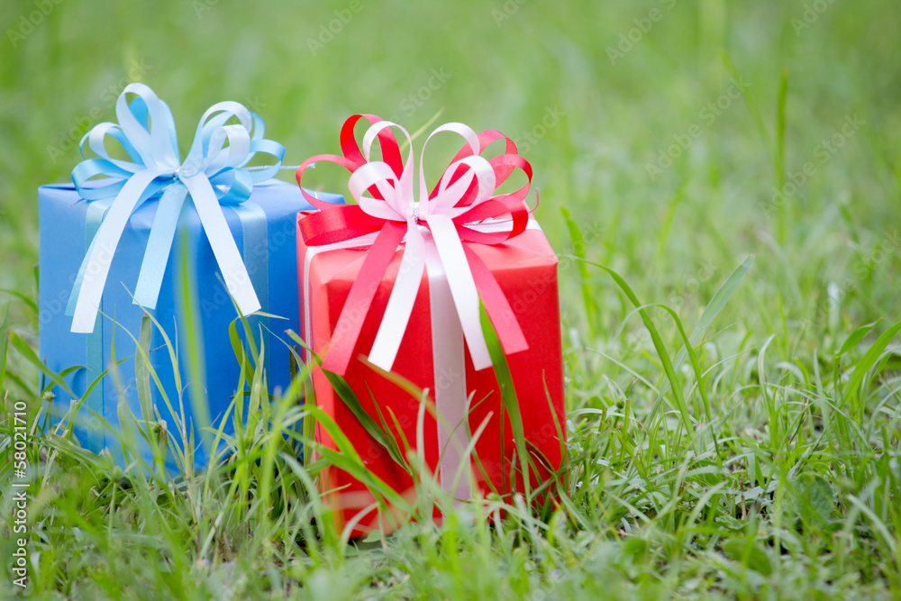 Red and blue gift box on the grass field