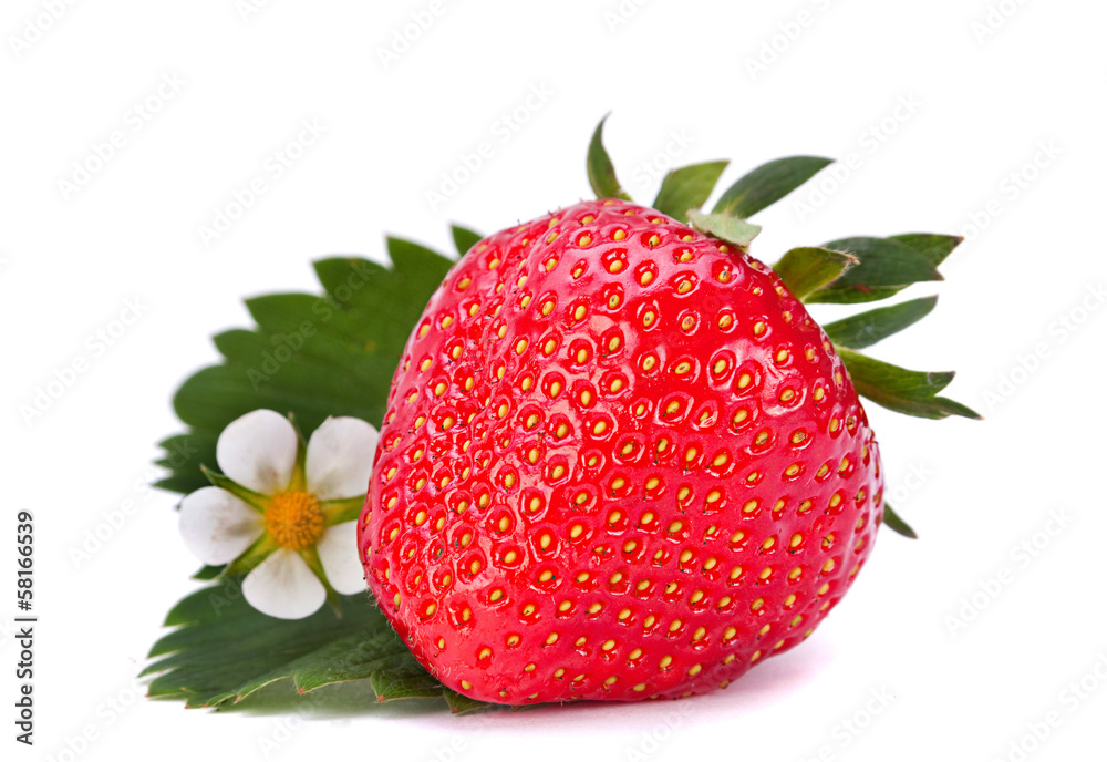 Strawberry with blossom flower