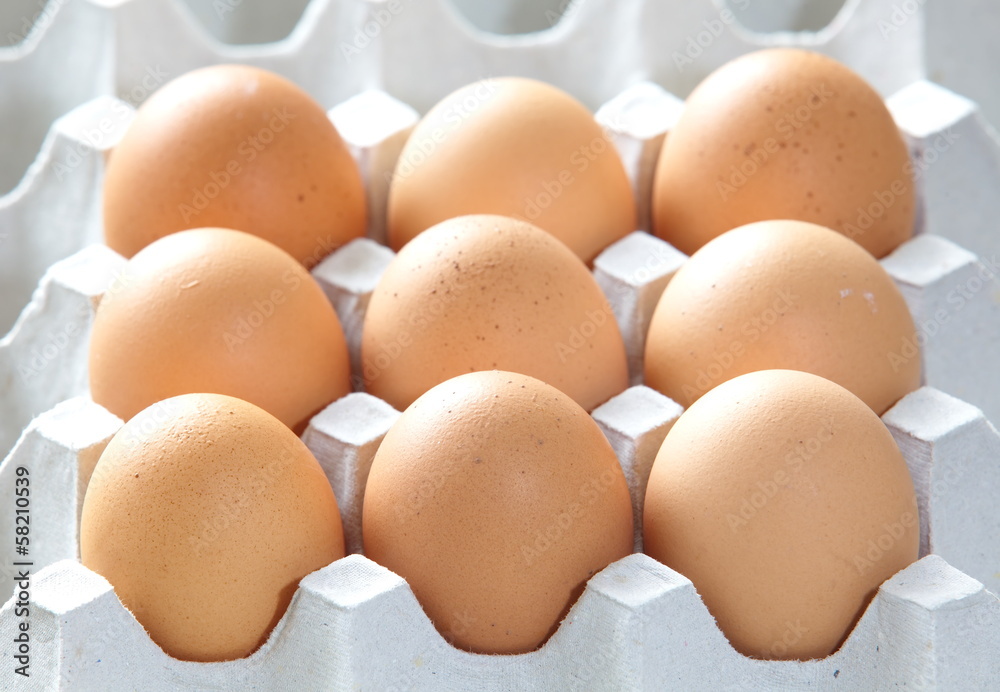 Chicken brown eggs